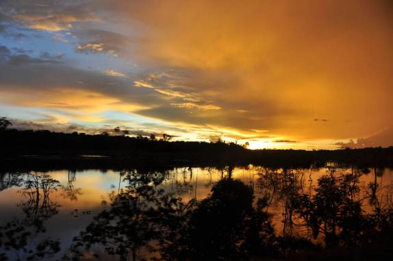 Maravilhoso pôr-do-sol nos alagados entre Roraima e Amazonas
